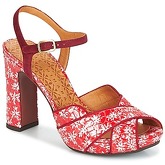 Chie Mihara  CASSY  women's Sandals in Red