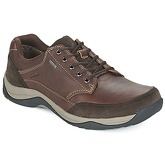 Clarks  BaystoneGo GTX  men's Shoes (Trainers) in Brown