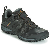 Columbia  WOODBURN II WATERPROOF  men's Sports Trainers (Shoes) in Black