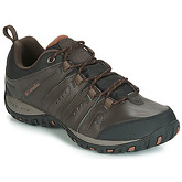 Columbia  WOODBURN II WATERPROOF  men's Sports Trainers (Shoes) in Brown