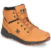 DC Shoes  TORSTEIN M BOOT WD4  men's Mid Boots in Beige