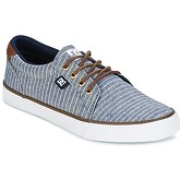 DC Shoes  COUNCIL TX LE  men's Shoes (Trainers) in Blue