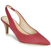Elizabeth Stuart  REVEL  women's Heels in Pink