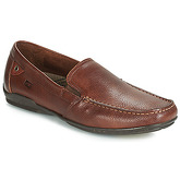 Fluchos  BALTICO  men's Loafers / Casual Shoes in Brown