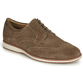 Geox  BLAINEY  men's Casual Shoes in Brown