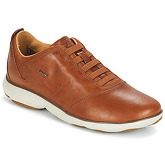Geox  NEBULA  men's Shoes (Trainers) in Brown