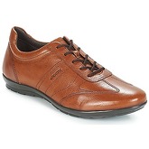 Geox  UOMO SYMBOL  men's Shoes (Trainers) in Brown