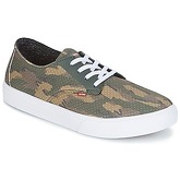 Globe  Motley LYT  men's Skate Shoes (Trainers) in Green