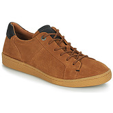 Kickers  SAN MARCO  men's Shoes (Trainers) in Brown