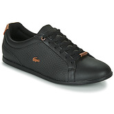 Lacoste  REY LACE 319 2 CFA  women's Shoes (Trainers) in Black