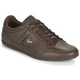 Lacoste  CHAYMON 119 5  men's Shoes (Trainers) in Brown