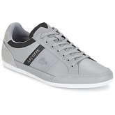 Lacoste  CHAYMON 318 3 US  men's Shoes (Trainers) in Grey