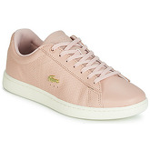 Lacoste  CARNABY EVO 119 3  women's Shoes (Trainers) in Pink