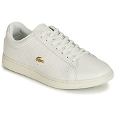 Lacoste  CARNABY EVO 119 3  women's Shoes (Trainers) in White