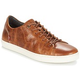 Levis  VERNON  men's Shoes (Trainers) in Brown