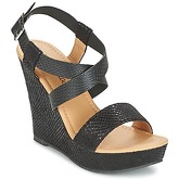 Moony Mood  EMIRIA  women's Sandals in Black