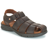 Panama Jack  SAURON  men's Sandals in Brown