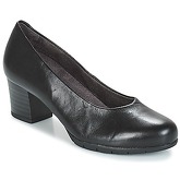 Pitillos  NEDOCI  women's Heels in Black