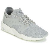 Puma  BLAZE CAGE EVOKNIT  men's Shoes (Trainers) in Grey