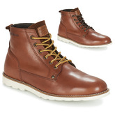Redskins  PINSAN  men's Mid Boots in Brown