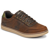 Skechers  MEN USA  men's Shoes (Trainers) in Brown