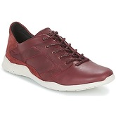 TBS  JARDINS  women's Shoes (Trainers) in Brown