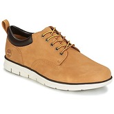 Timberland  BRADSTREET 5 EYE OX  men's Casual Shoes in Beige