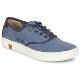 Timberland  AMHERST OXFORD  women's Shoes (Trainers) in Blue