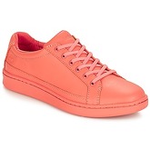 Timberland  San Francisco Flavor Oxford  women's Shoes (Trainers) in Orange