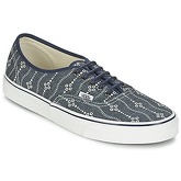 Vans  AUTHENTIC  men's Shoes (Trainers) in Blue